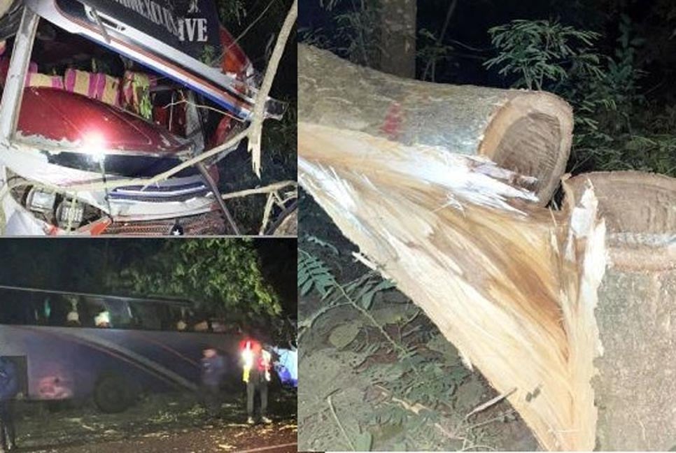 গভীররাতে কাশিয়ানীতে গাছ ফেলে মহাসড়ক অবরোধ