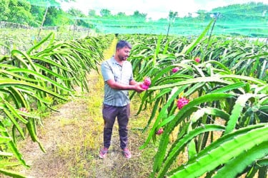 লাল ড্রাগনে স্বপ্নপূরণ