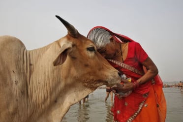 বিশ্ববিদ্যালয়গুলোকেও হিন্দুত্ববাদ প্রচারে বাধ্য করছে মোদি প্রশাসন?