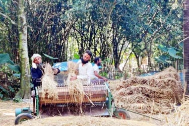 নতুন ধানের ঘ্রাণে প্রাণবন্ত দিনাজপুরের গ্রাম–শহর