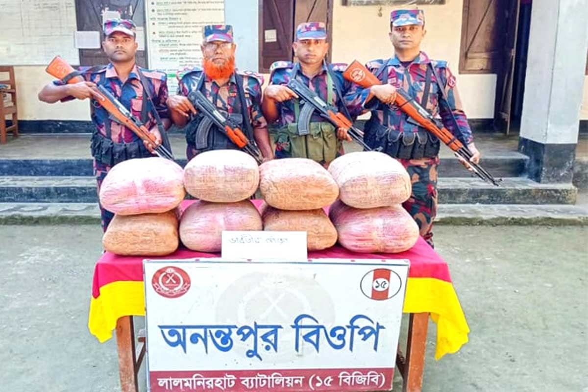 লালমনিরহাটে বিজিবির অভিযানে বিপুল পরিমাণ মাদক জব্দ