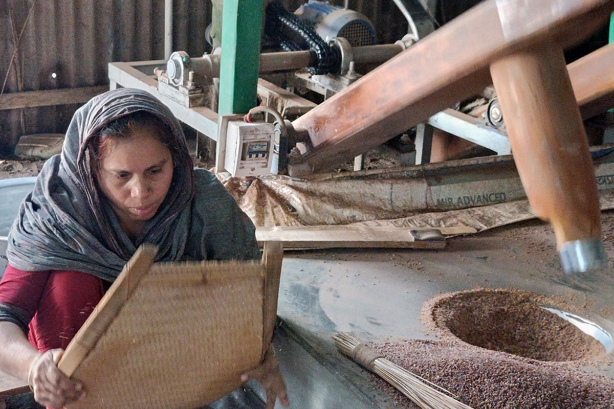 মানিকগঞ্জের ঢেঁকিছাঁটা চাল যাচ্ছে সারাদেশে