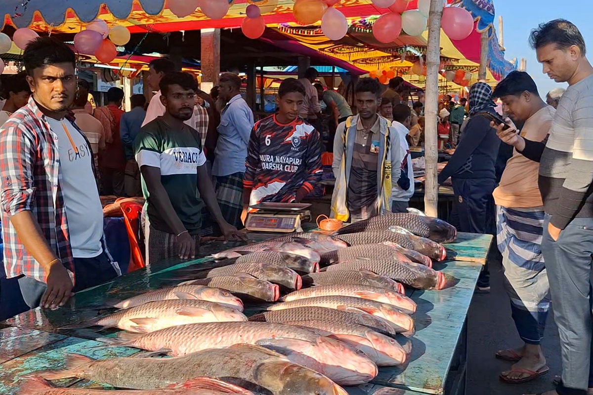 নবান্ন উৎসবে ঐতিহ্যবাহী মাছের মেলা