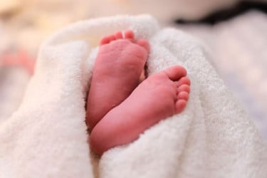 কান্নার শব্দে ধানক্ষেতে মিলল নবজাতক