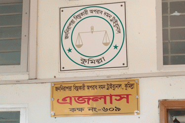 কুমিল্লায় অন্তঃসত্ত্বা স্ত্রীকে শ্বাসরোধে হত্যা, স্বামীর যাবজ্জীবন