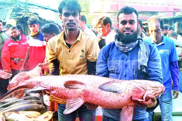 শিবগঞ্জে কোটি টাকার মাছের মেলা