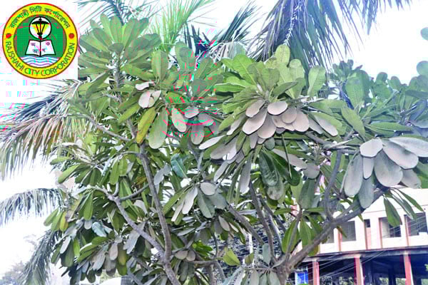 বায়ুদূষণে নাকাল নগরজীবন