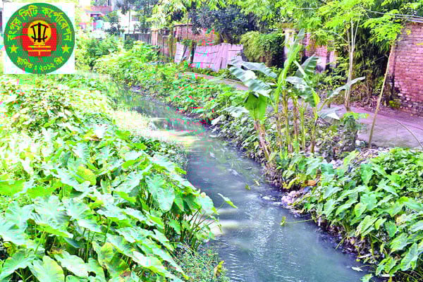 মশায় অতিষ্ঠ নগরবাসী