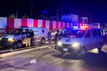 লেবাননে ইসরায়েলি হামলায় ১৩ ফিলিস্তিনি নিহত