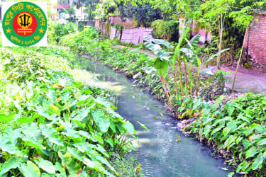 মশায় অতিষ্ঠ নগরবাসী