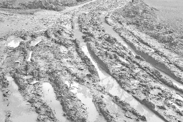 যত দুর্ভোগ ৩ কিলোমিটারে