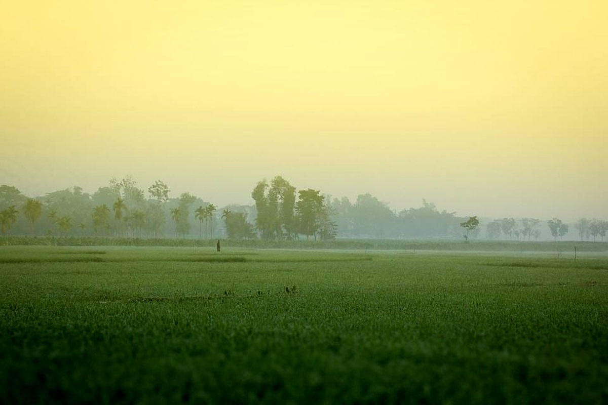 দেশজুড়ে তাপমাত্রা কমছে, বাড়ছে শীতের আমেজ