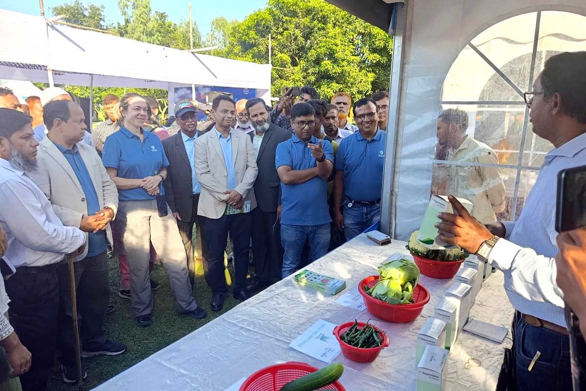 দিনাজপুরে উন্নত জাতের ভুট্টার গবেষণার প্রদর্শনী মাঠ উদ্বোধন