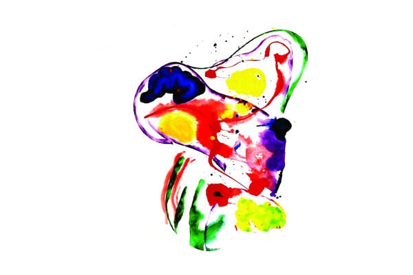 একটি উজ্জ্বল ঘোড়া