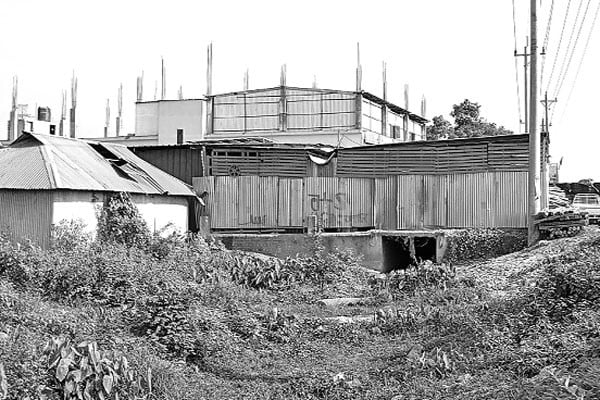 বেরুলা বাঁচানো সময়ের দাবি