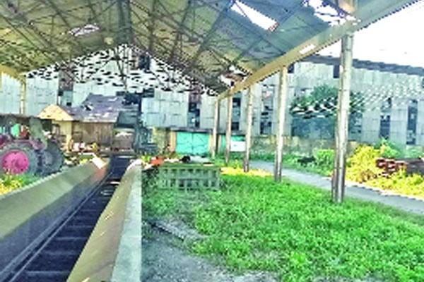 আঁধারেই শ্যামপুর ও সেতাবগঞ্জ চিনিকল