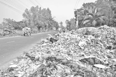 সড়কের পাশে ভাগাড়