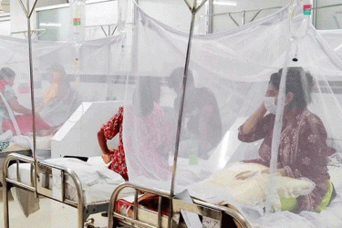 ময়মনসিংহ মেডিকেলে ডেঙ্গুতে নারীর মৃত্যু
