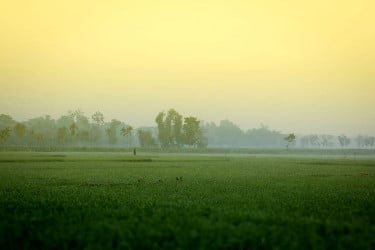 দেশজুড়ে তাপমাত্রা কমছে, বাড়ছে শীতের আমেজ
