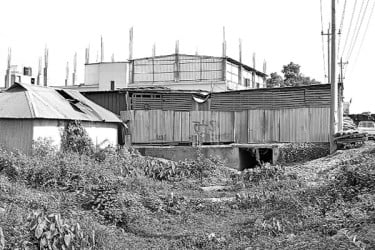 বেরুলা বাঁচানো সময়ের দাবি