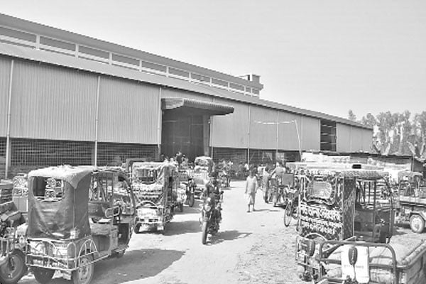 হিমাগারের আলু গোপনে বিক্রি!