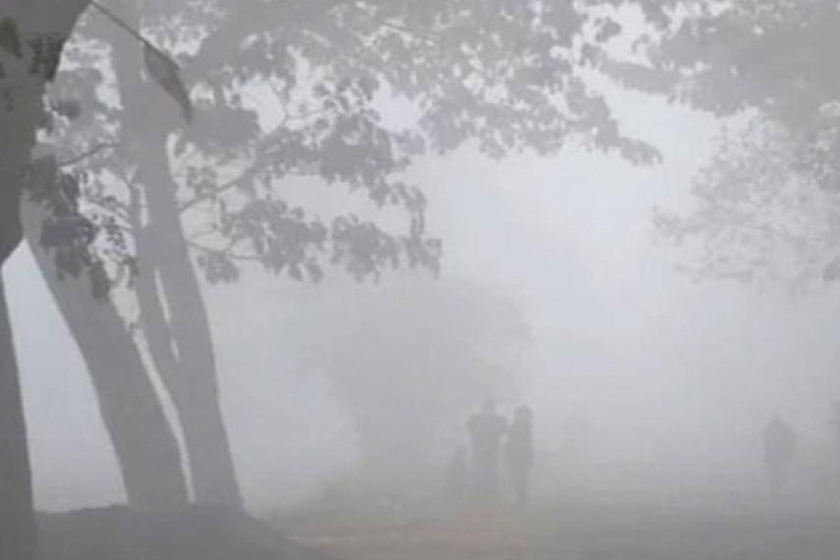 তেঁতুলিয়ায় বাড়ছে শীতের দাপট, তাপমাত্রা ১৪.৯ ডিগ্রি