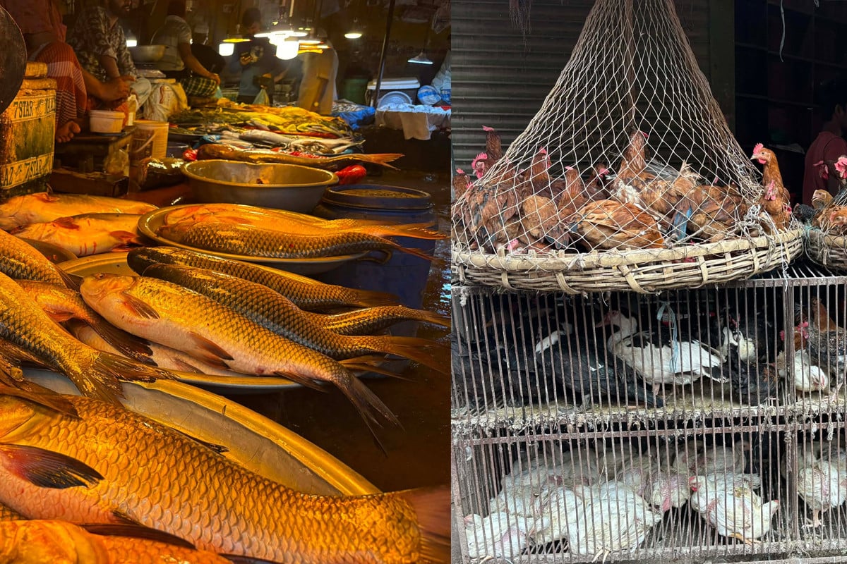 মাছের বাজারে চড়া দাম, মুরগি–ডিমে কিছুটা স্বস্তি