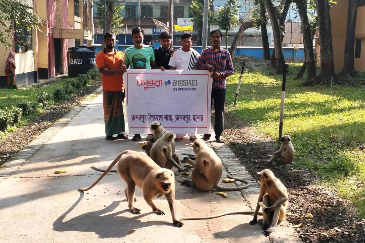 কেশবপুরে বিরল কালোমুখো হনুমান রক্ষায় বসুন্ধরা শুভসংঘ