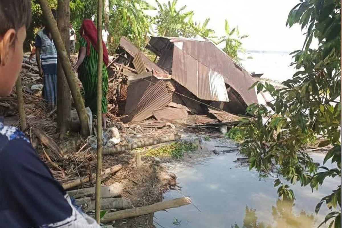বরিশালে হঠাৎ ভাঙনে বসতঘরসহ গাছপালা নদীগর্ভে