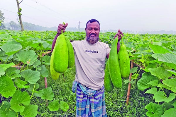 লাউয়ের গ্রাম লালমতি