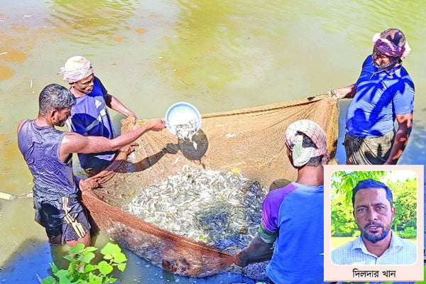 মাছের পোনায় ভাগ্যবদল