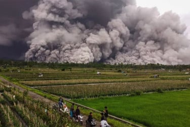 ইন্দোনেশিয়ায় আগ্নেয়গিরির অগ্ন্যুৎপাতের পর শত শত মানুষ আশ্রয়কেন্দ্রে