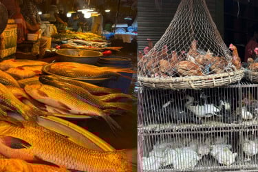 মাছের বাজারে চড়া দাম, মুরগি–ডিমে কিছুটা স্বস্তি