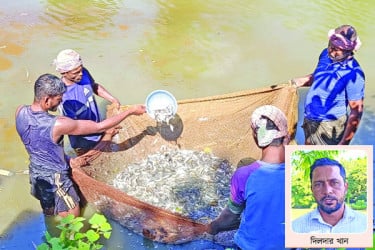 মাছের পোনায় ভাগ্যবদল