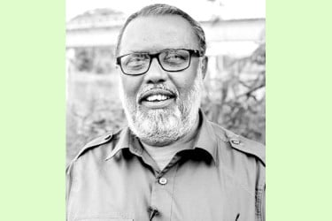 নগরের ছাদে সবুজ বিপ্লব