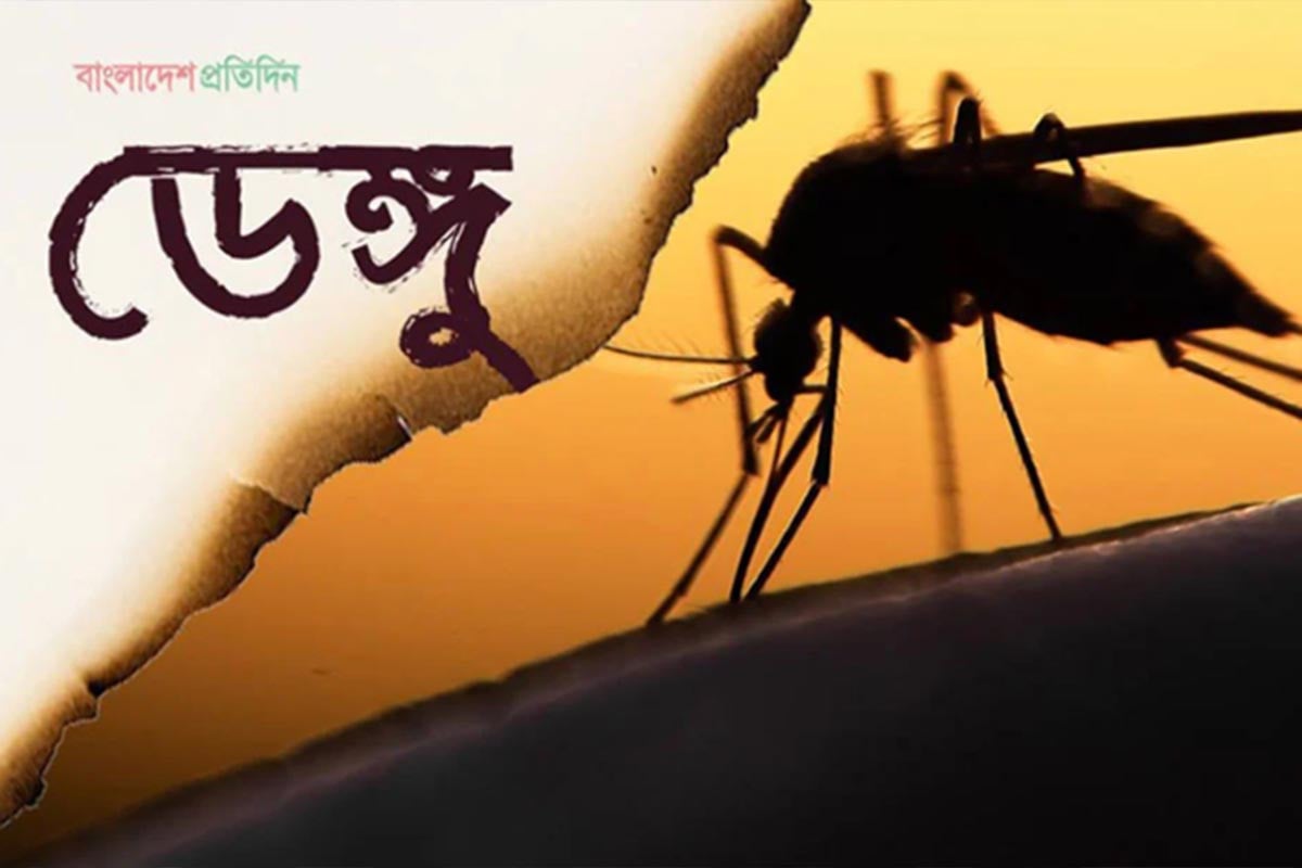 ডেঙ্গুতে আরও ৩ জনের মৃত্যু