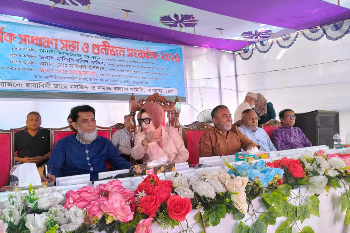 পতিত স্বৈরশাসক উন্নয়নের নামে নিজেদের পকেট ভারী করেছে : আফরোজা আব্বাস