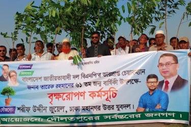দৌলতপুরে তারেক রহমানের জন্মদিন উপলক্ষে বৃক্ষরোপণ