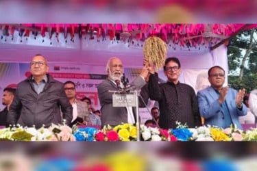 আওয়ামী লীগের হাতে কোনদিন গণতন্ত্র নিরাপদ ছিল না: মঈন খান