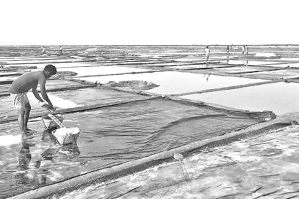 হতাশা নিয়ে মাঠে লবণ চাষিরা