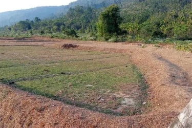 ভারতীয় খাসিয়াদের গুলিতে প্রাণ গেল সিলেটের যুবকের