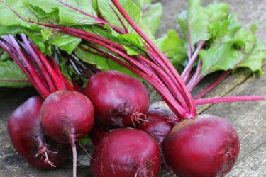 বিটরুটের ১০ উপকার
