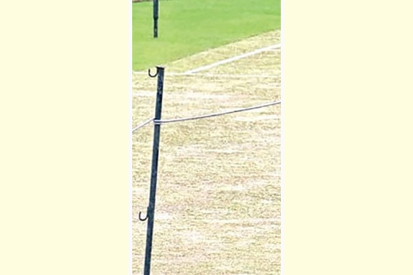 মিরপুরের উইকেট ছিল প্রাণবন্ত