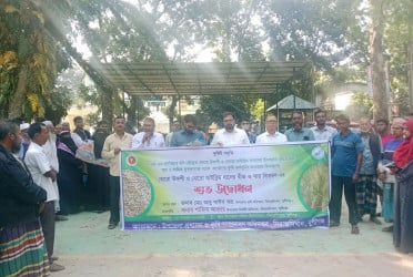 মুন্সীগঞ্জে উন্নত বীজ বিতরণ