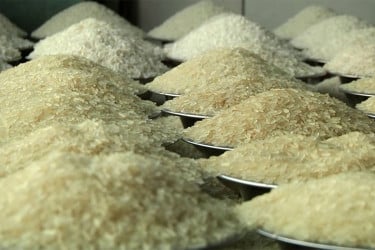 সিঙ্গাপুর থেকে ৫০ হাজার টন চাল কিনছে সরকার