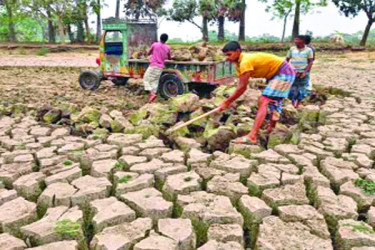 বরেন্দ্রে কমছে ভূগর্ভের পানি