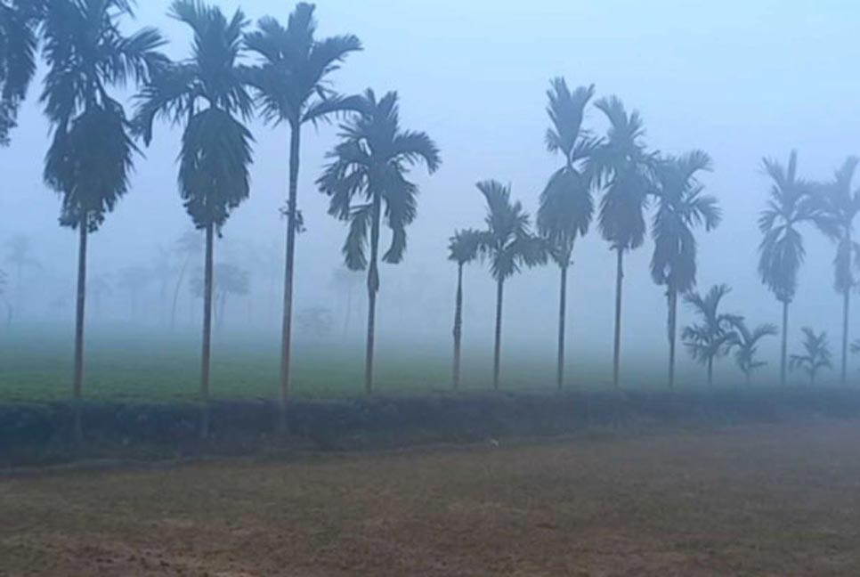 শীত জেঁকে বসেছে তেঁতুলিয়ায়, তাপমাত্রা নামলো ১২.৮ ডিগ্রিতে