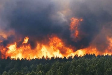 ব্যাপক দাবানলে পুড়ছে ইরান