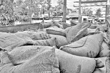 টিসিবির ২৪৮ বস্তা চাল জব্দ ডিলার আটক