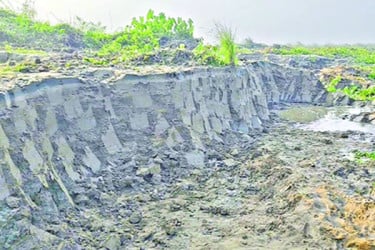 বাঞ্ছারামপুরে সোবহানিয়া ফাজিল মাদ্রাসার জমির মাটি চুরি